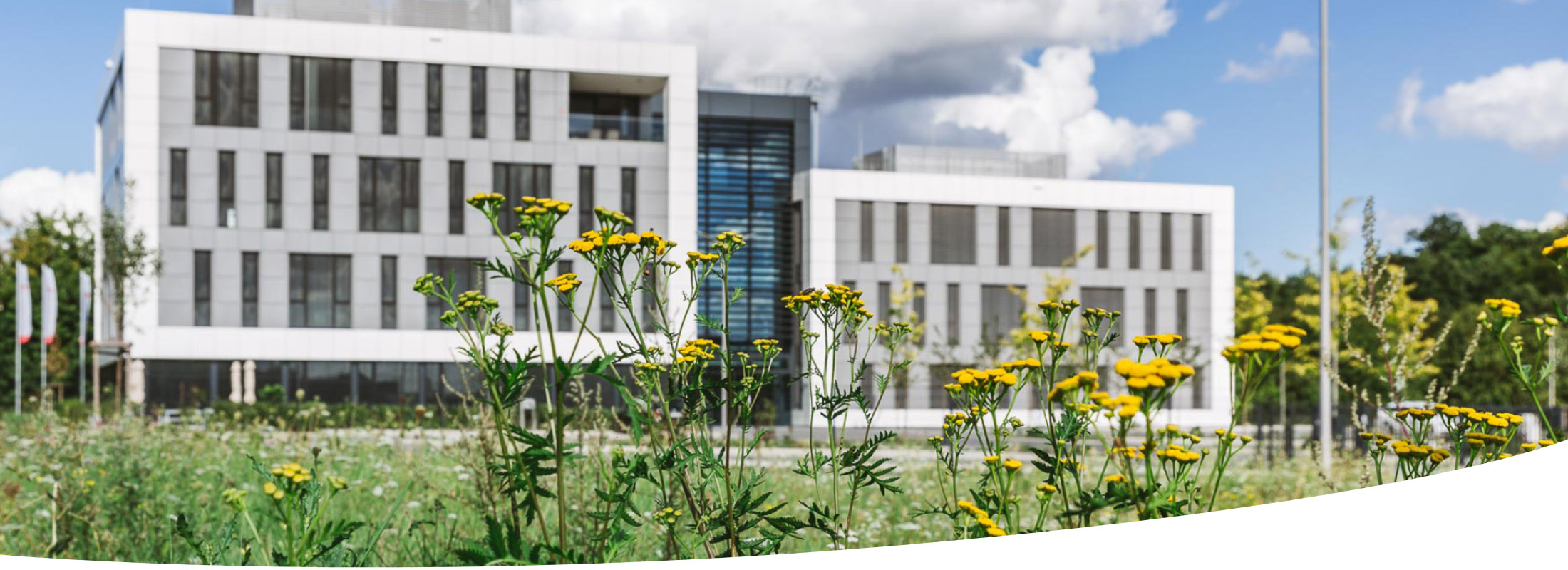 QSL-03-01-Verantwortung2